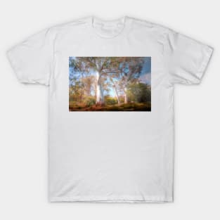 Mighty Ghost Gums - The Cedars, Hahndorf, The Adelaide Hills, SA T-Shirt